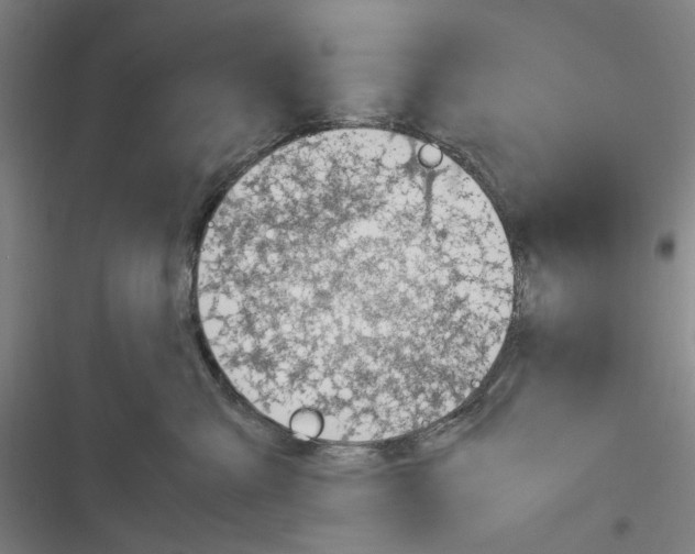 X0000116310427201001111142