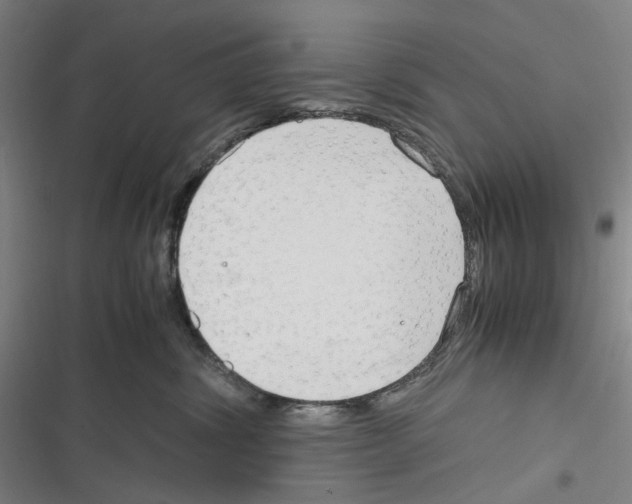 X0000116310428201001111142