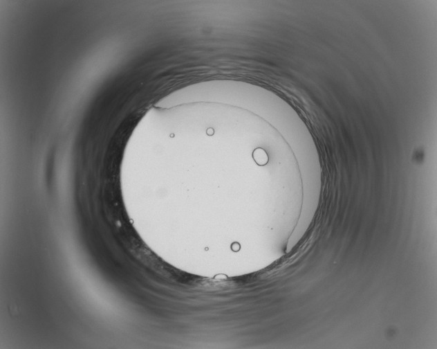 X0000116310429201001111142