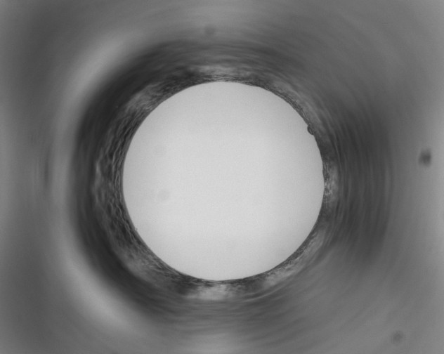 X0000116310430201001111142