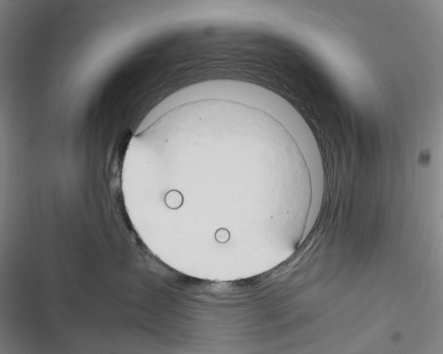 X0000116310431201001111142