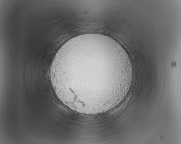 X0000116310432201001111142