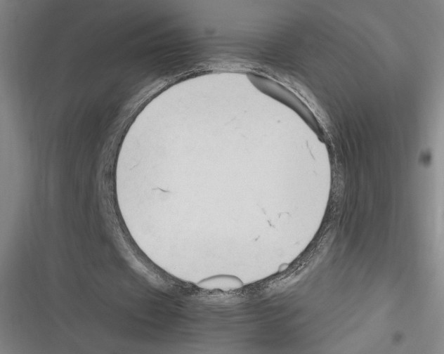 X0000116310433201001111141