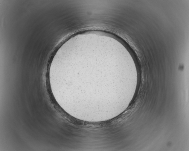 X0000116310434201001111141