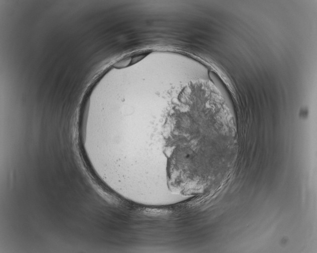 X0000116310437201001111141