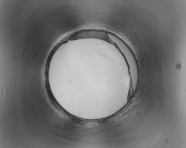 X0000116310438201001111141