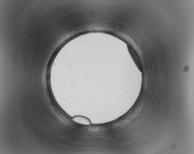 X0000116310439201001111141