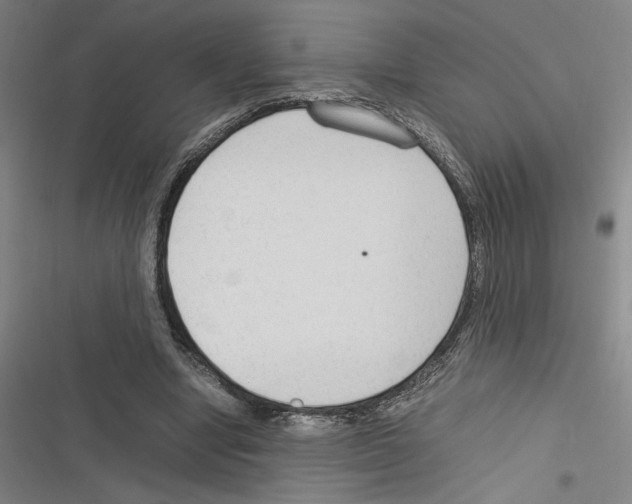 X0000116310442201001111142