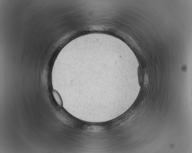 X0000116310444201001111142