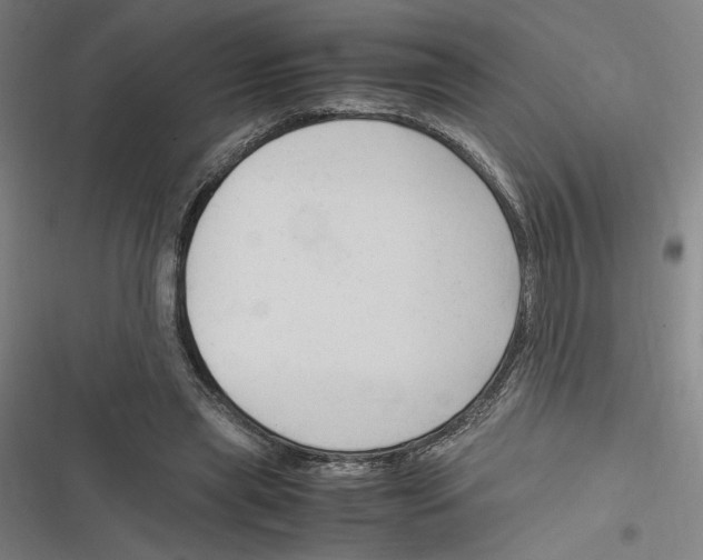 X0000116310445201001111142