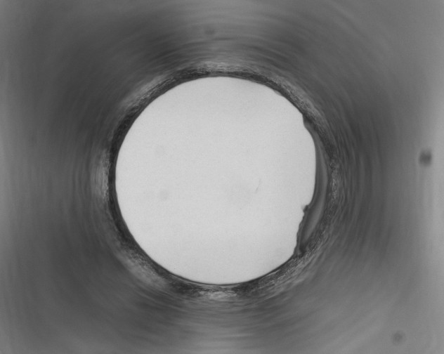 X0000116310446201001111142