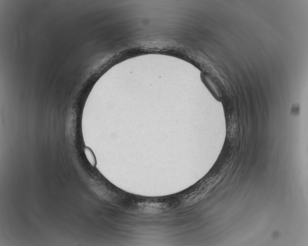 X0000116310448201001111142