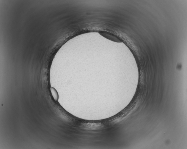 X0000116310449201001111142