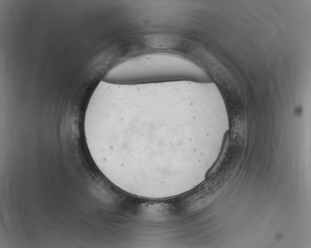 X0000116310452201001111142