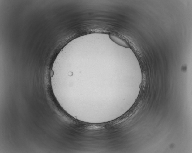 X0000116310453201001111142