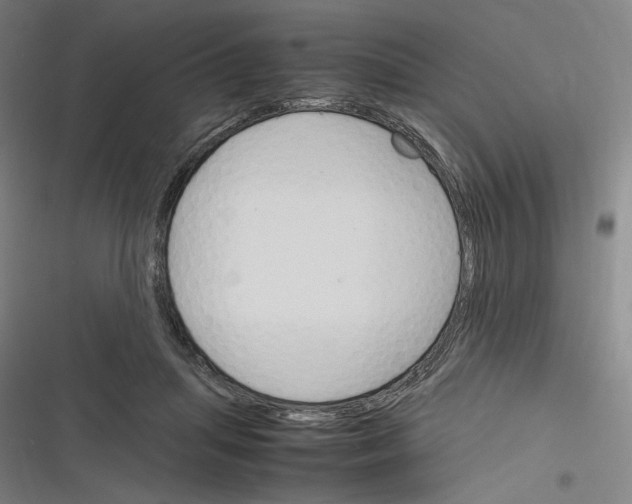 X0000116310455201001111142