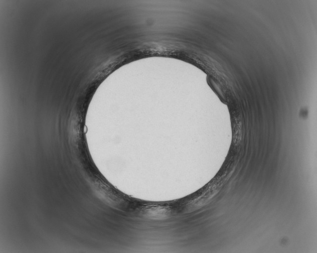 X0000116310456201001111142