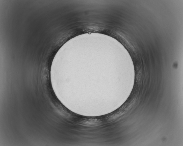 X0000116310459201001111142