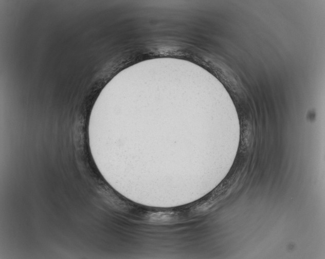 X0000116310461201001111142