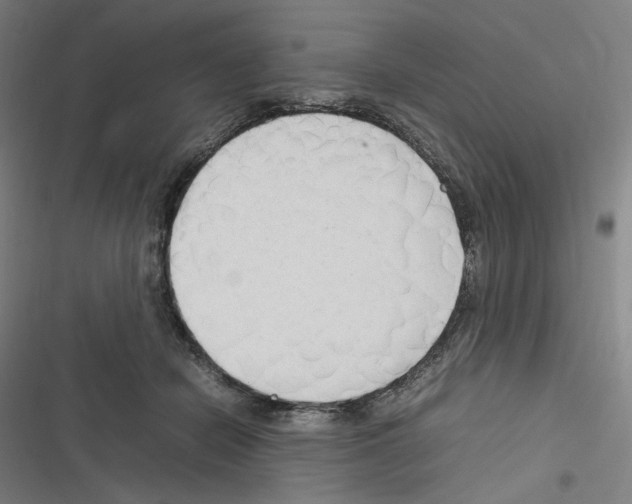 X0000116310462201001111142