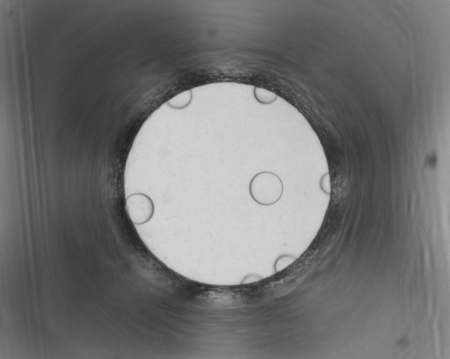 X0000116310464201001111142