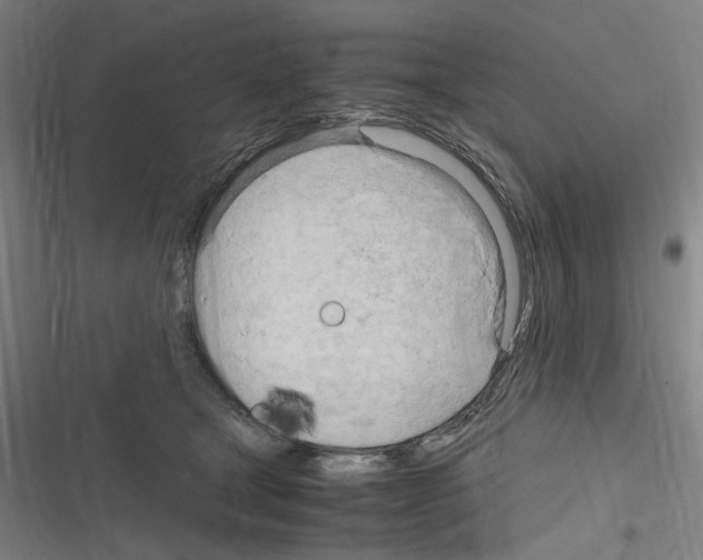 X0000116310465201001111142