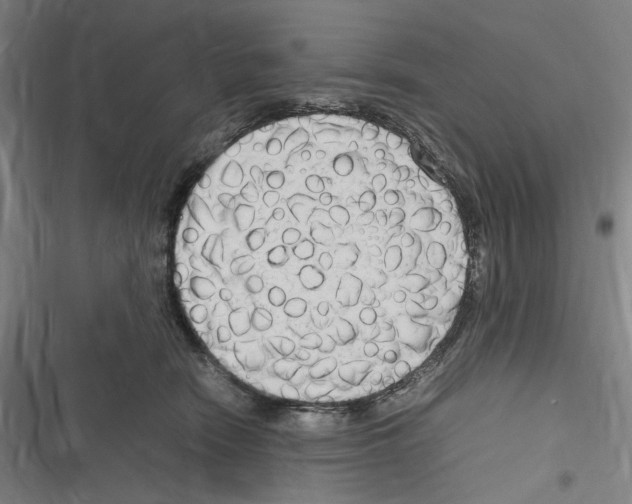 X0000116310466201001111142