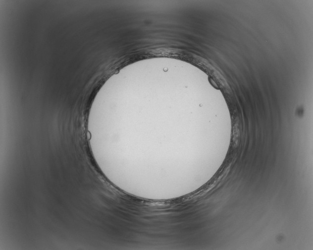 X0000116310473201001111142