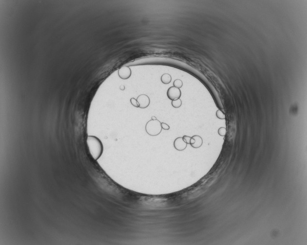 X0000116310476201001111142