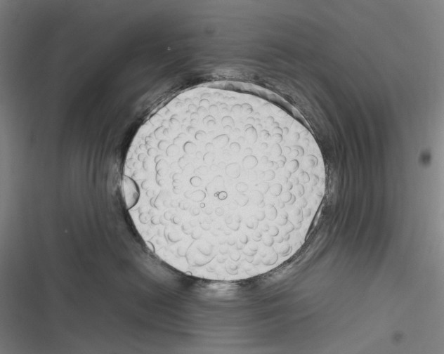 X0000116310478201001111142