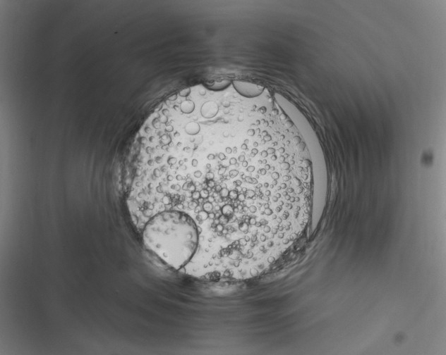 X0000116310479201001111142