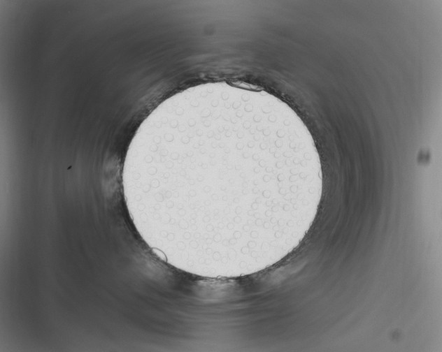 X0000116310480201001111142