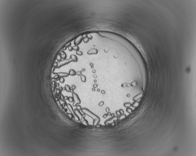 X0000116310481201001111141