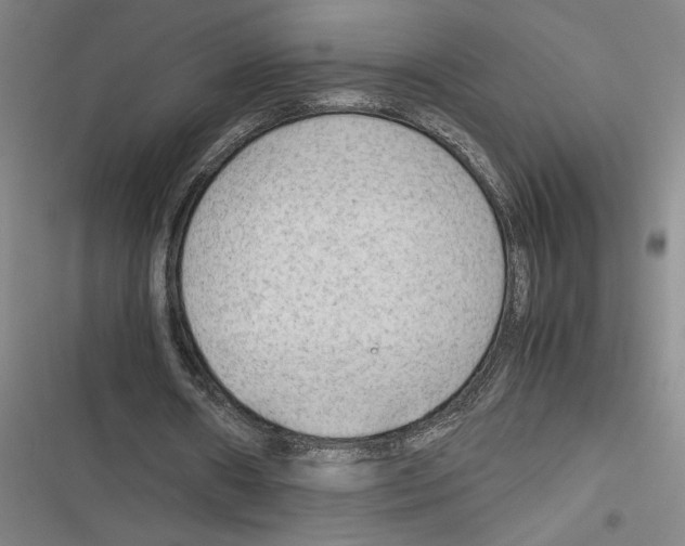 X0000116310482201001111141