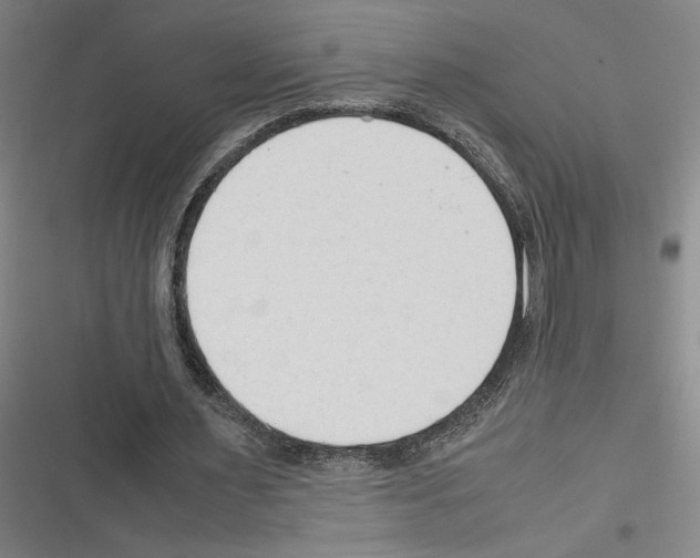 X0000116310483201001111141