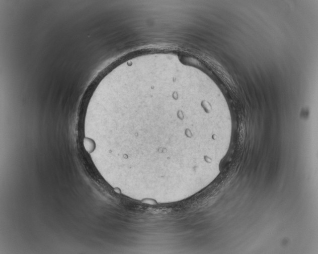 X0000116310484201001111141