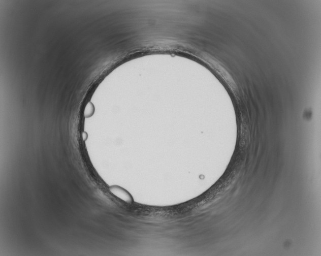 X0000116310485201001111141