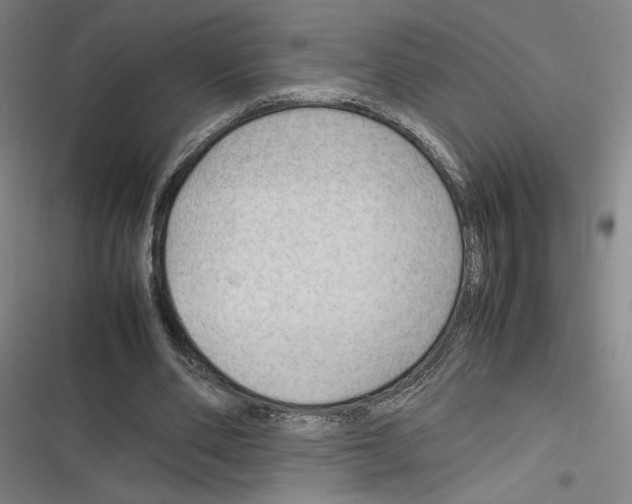 X0000116310486201001111141