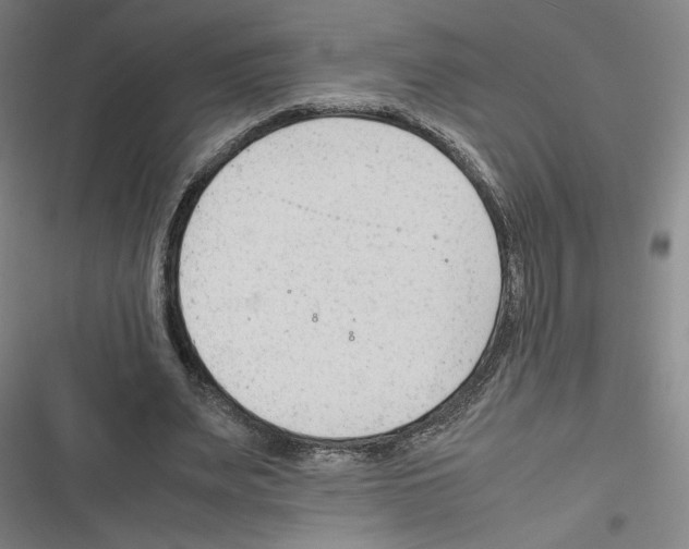 X0000116310487201001111141