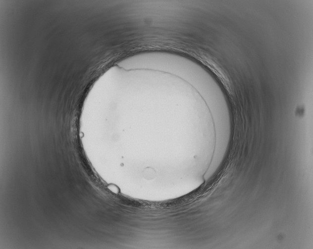 X0000116310489201001111141