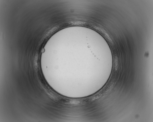 X0000116310490201001111141