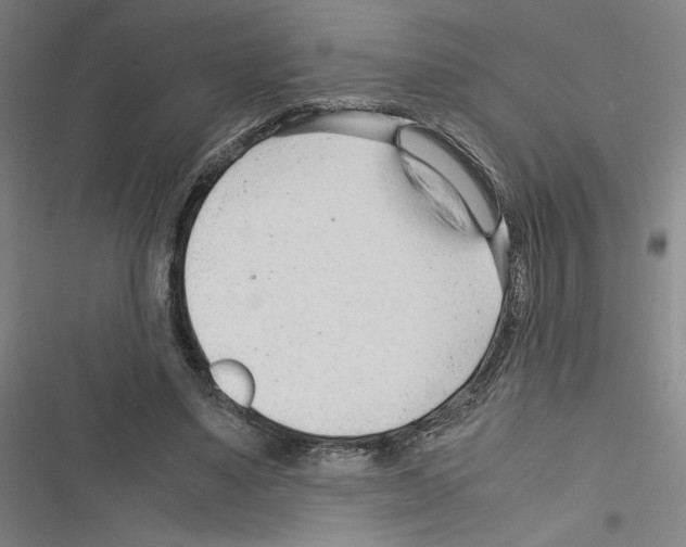 X0000116310491201001111141