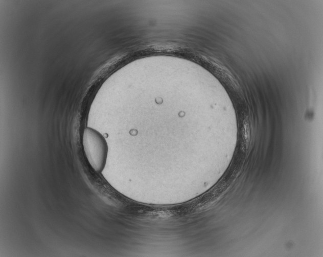 X0000116310492201001111141