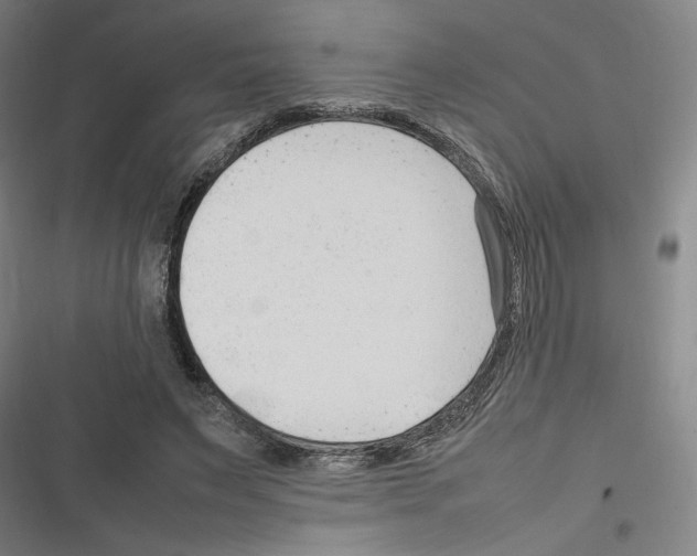 X0000116310495201001111141