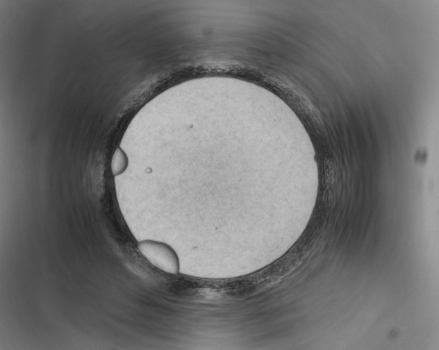 X0000116310496201001111141