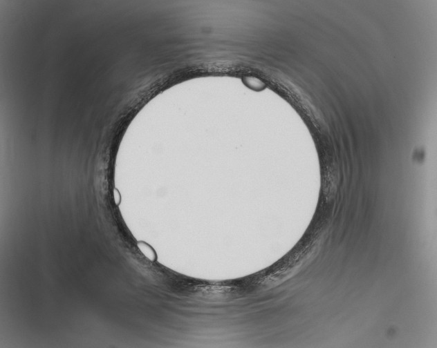 X0000116310497201001111141