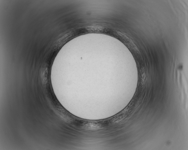 X0000116310498201001111141