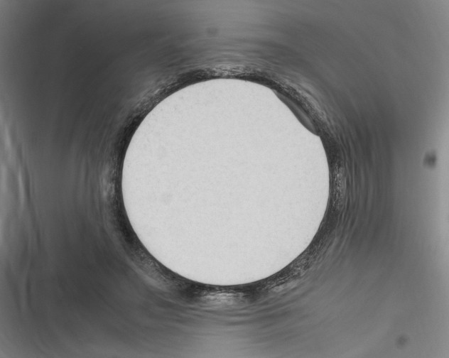 X0000116310499201001111141