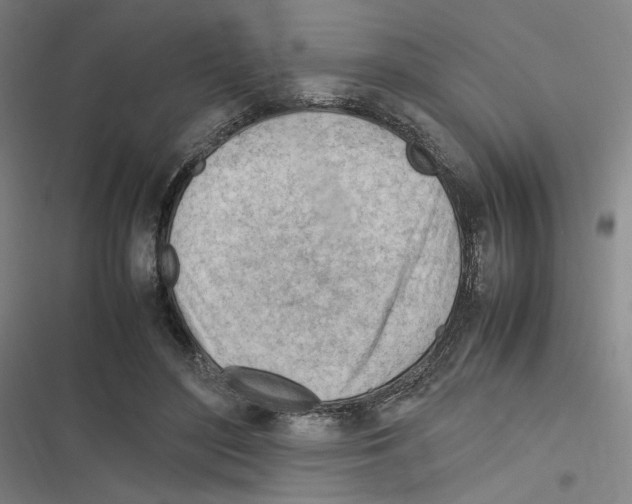 X0000116310500201001111141