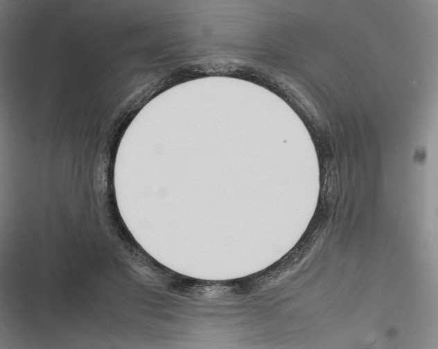 X0000116310501201001111141